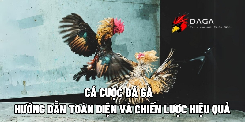 ca cuoc da ga daga88 1