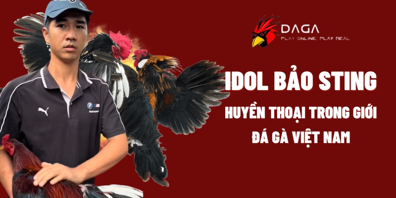 idol bao sting daga88 1