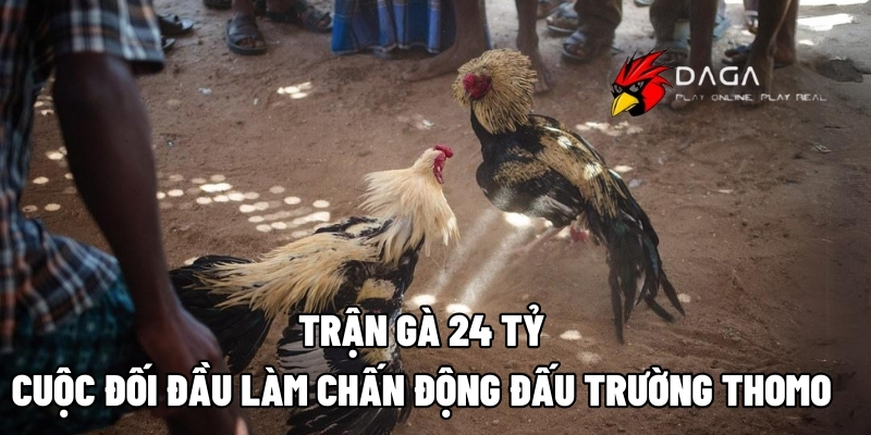 tran ga 24 ty daga88 1